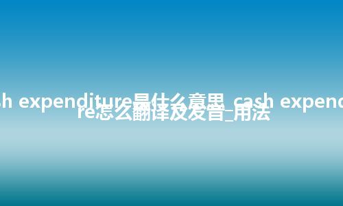 cash expenditure是什么意思_cash expenditure怎么翻译及发音_用法