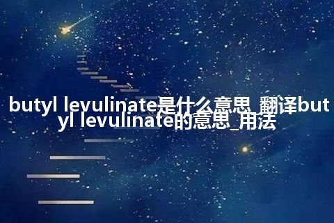 butyl levulinate是什么意思_翻译butyl levulinate的意思_用法