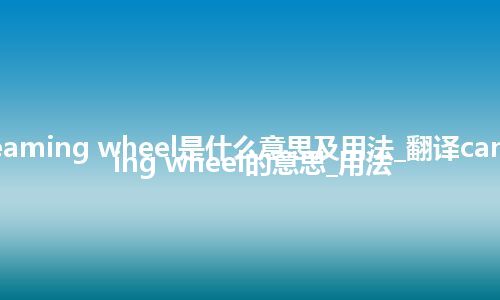 can seaming wheel是什么意思及用法_翻译can seaming wheel的意思_用法