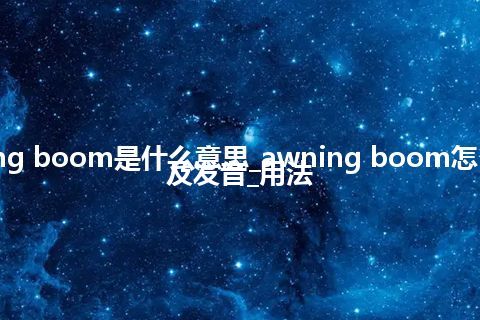awning boom是什么意思_awning boom怎么翻译及发音_用法