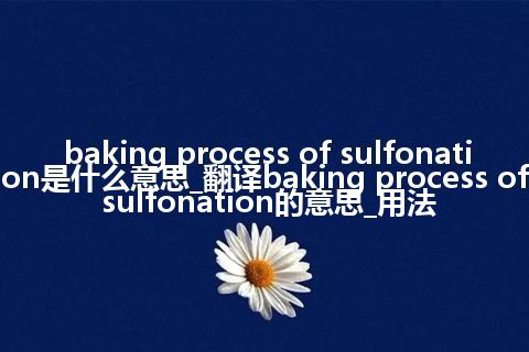 baking process of sulfonation是什么意思_翻译baking process of sulfonation的意思_用法