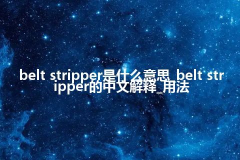 belt stripper是什么意思_belt stripper的中文解释_用法
