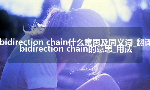 bidirection chain什么意思及同义词_翻译bidirection chain的意思_用法