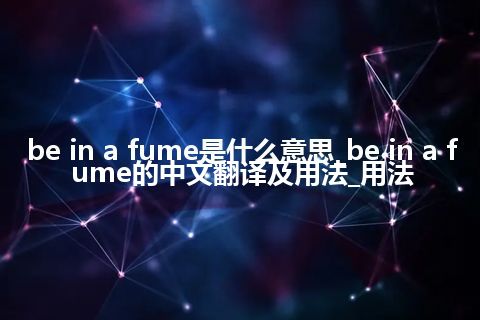 be in a fume是什么意思_be in a fume的中文翻译及用法_用法