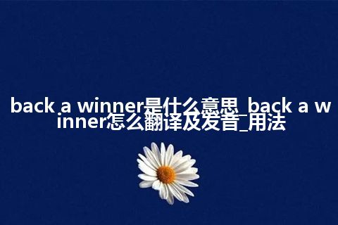 back a winner是什么意思_back a winner怎么翻译及发音_用法