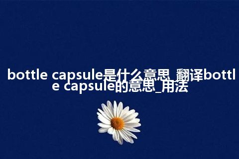 bottle capsule是什么意思_翻译bottle capsule的意思_用法