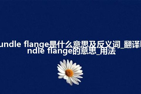 bundle flange是什么意思及反义词_翻译bundle flange的意思_用法