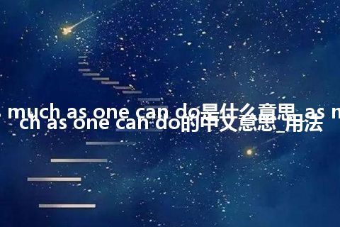 as much as one can do是什么意思_as much as one can do的中文意思_用法