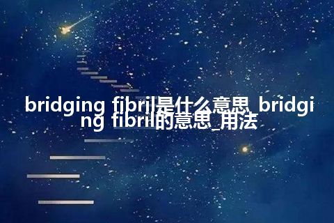 bridging fibril是什么意思_bridging fibril的意思_用法