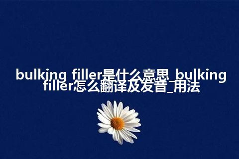 bulking filler是什么意思_bulking filler怎么翻译及发音_用法