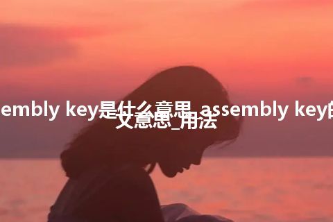 assembly key是什么意思_assembly key的中文意思_用法