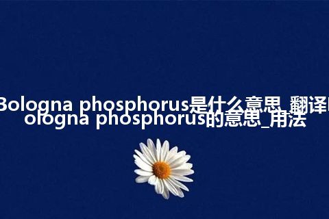 Bologna phosphorus是什么意思_翻译Bologna phosphorus的意思_用法