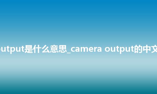 camera output是什么意思_camera output的中文释义_用法