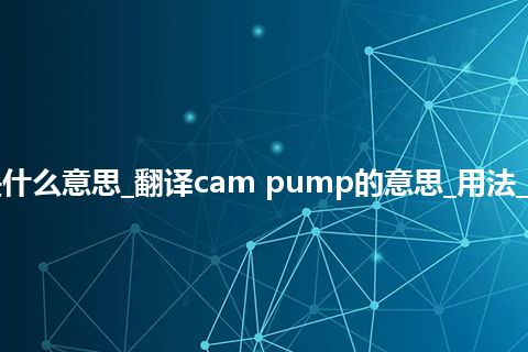 cam pump是什么意思_翻译cam pump的意思_用法_例句_英语短语