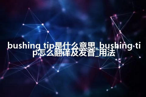 bushing tip是什么意思_bushing tip怎么翻译及发音_用法
