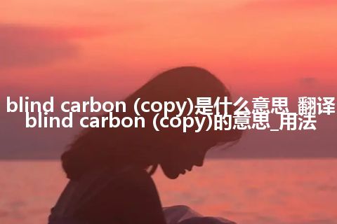 blind carbon (copy)是什么意思_翻译blind carbon (copy)的意思_用法