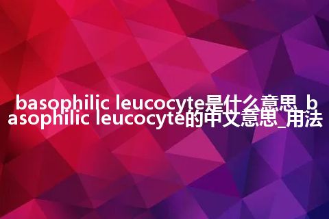 basophilic leucocyte是什么意思_basophilic leucocyte的中文意思_用法