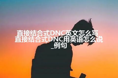直接结合式DNC英文怎么写_直接结合式DNC用英语怎么说_例句
