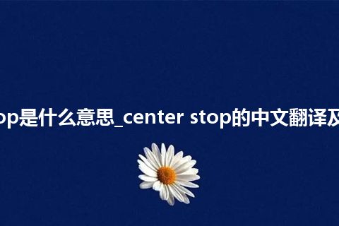 center stop是什么意思_center stop的中文翻译及用法_用法