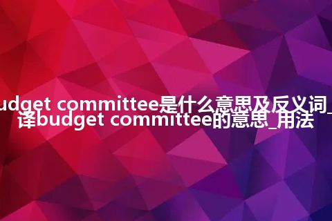 budget committee是什么意思及反义词_翻译budget committee的意思_用法