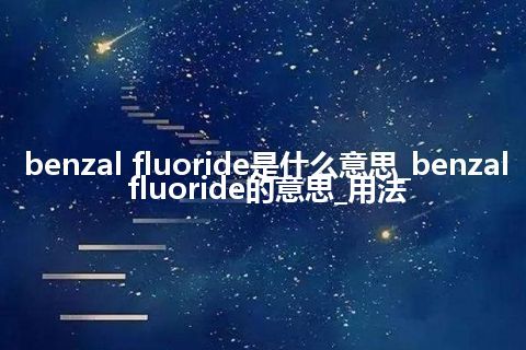 benzal fluoride是什么意思_benzal fluoride的意思_用法