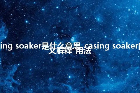 casing soaker是什么意思_casing soaker的中文解释_用法