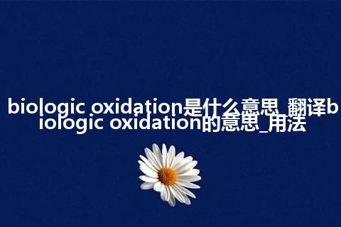 biologic oxidation是什么意思_翻译biologic oxidation的意思_用法