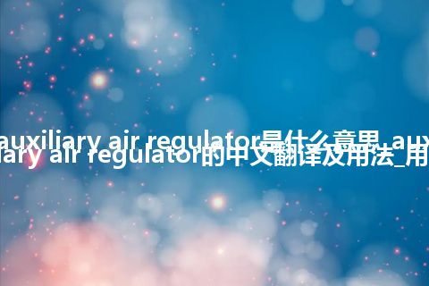 auxiliary air regulator是什么意思_auxiliary air regulator的中文翻译及用法_用法