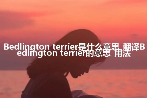 Bedlington terrier是什么意思_翻译Bedlington terrier的意思_用法