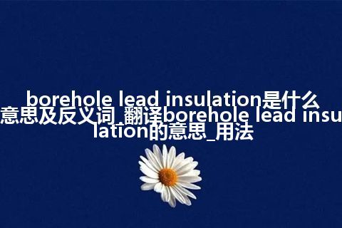 borehole lead insulation是什么意思及反义词_翻译borehole lead insulation的意思_用法