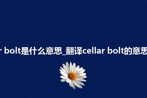 cellar bolt是什么意思_翻译cellar bolt的意思_用法