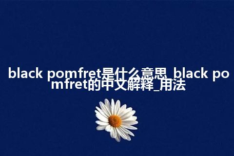 black pomfret是什么意思_black pomfret的中文解释_用法