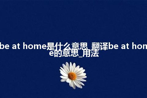 be at home是什么意思_翻译be at home的意思_用法