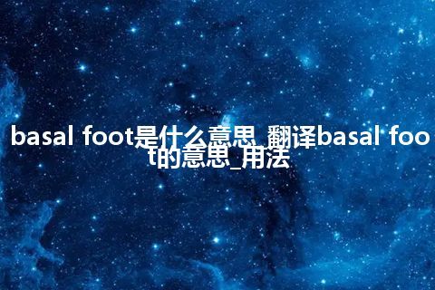 basal foot是什么意思_翻译basal foot的意思_用法