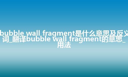 bubble wall fragment是什么意思及反义词_翻译bubble wall fragment的意思_用法