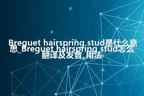 Breguet hairspring stud是什么意思_Breguet hairspring stud怎么翻译及发音_用法