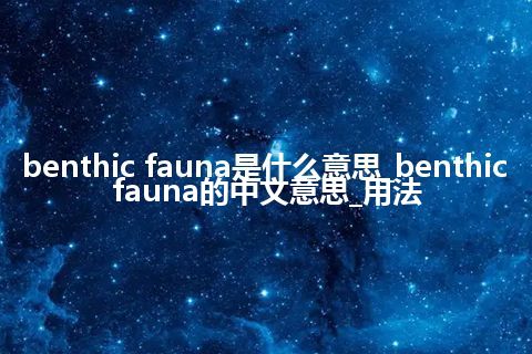 benthic fauna是什么意思_benthic fauna的中文意思_用法
