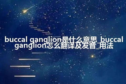 buccal ganglion是什么意思_buccal ganglion怎么翻译及发音_用法