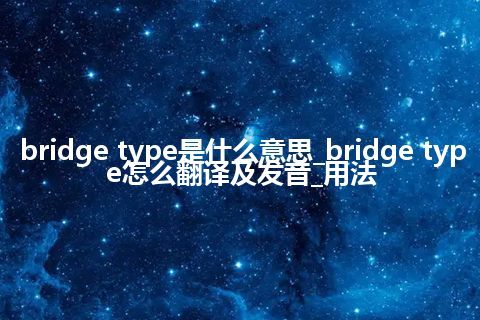 bridge type是什么意思_bridge type怎么翻译及发音_用法