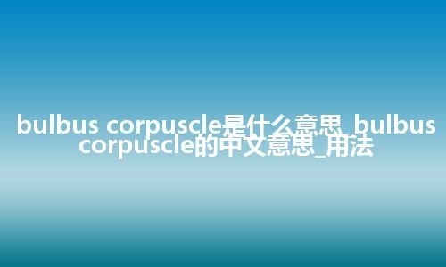 bulbus corpuscle是什么意思_bulbus corpuscle的中文意思_用法