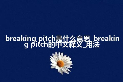 breaking pitch是什么意思_breaking pitch的中文释义_用法