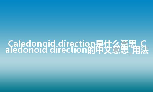 Caledonoid direction是什么意思_Caledonoid direction的中文意思_用法