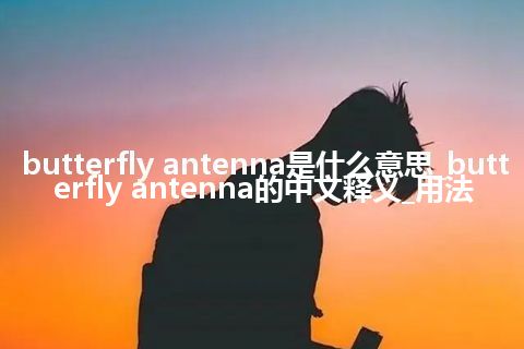 butterfly antenna是什么意思_butterfly antenna的中文释义_用法