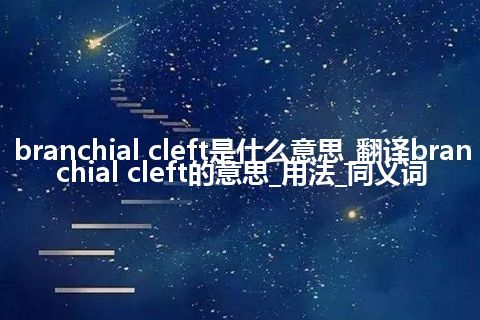 branchial cleft是什么意思_翻译branchial cleft的意思_用法_同义词
