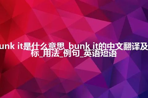 bunk it是什么意思_bunk it的中文翻译及音标_用法_例句_英语短语