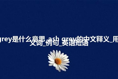 ash grey是什么意思_ash grey的中文释义_用法_同义词_例句_英语短语