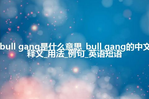 bull gang是什么意思_bull gang的中文释义_用法_例句_英语短语