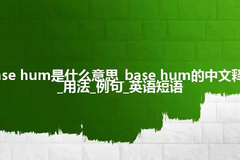 base hum是什么意思_base hum的中文释义_用法_例句_英语短语