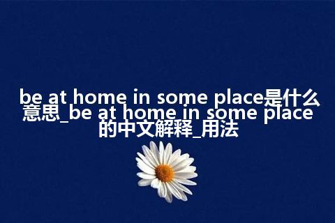 be at home in some place是什么意思_be at home in some place的中文解释_用法