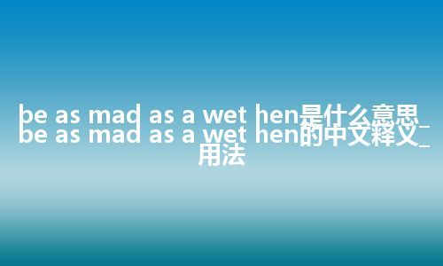 be as mad as a wet hen是什么意思_be as mad as a wet hen的中文释义_用法